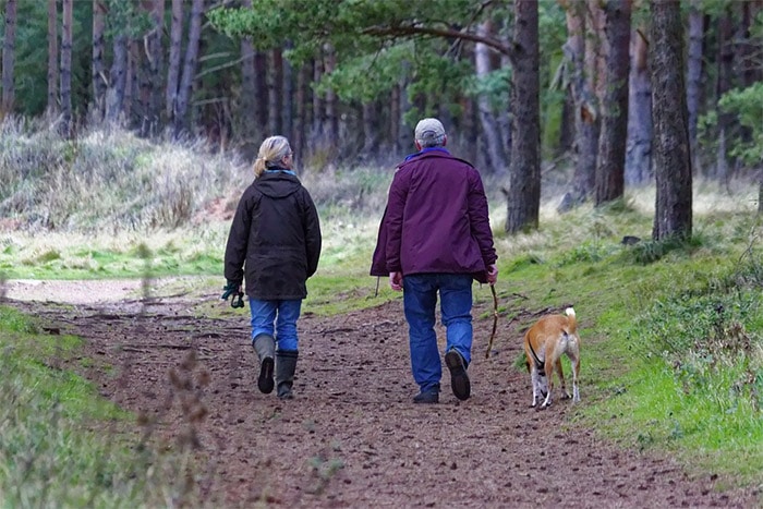 exploring on a dog walk