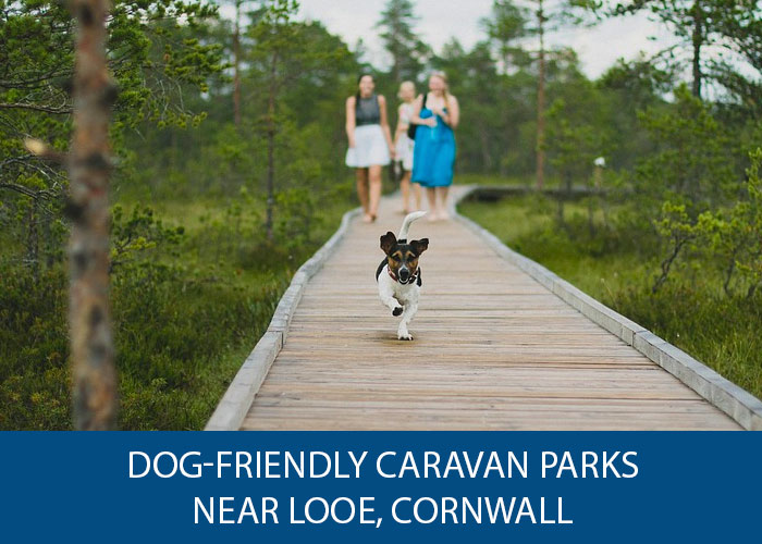 Dogfriendly caravan parks near Looe, Cornwall Caravan